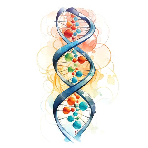 dna clipart|dna real image.